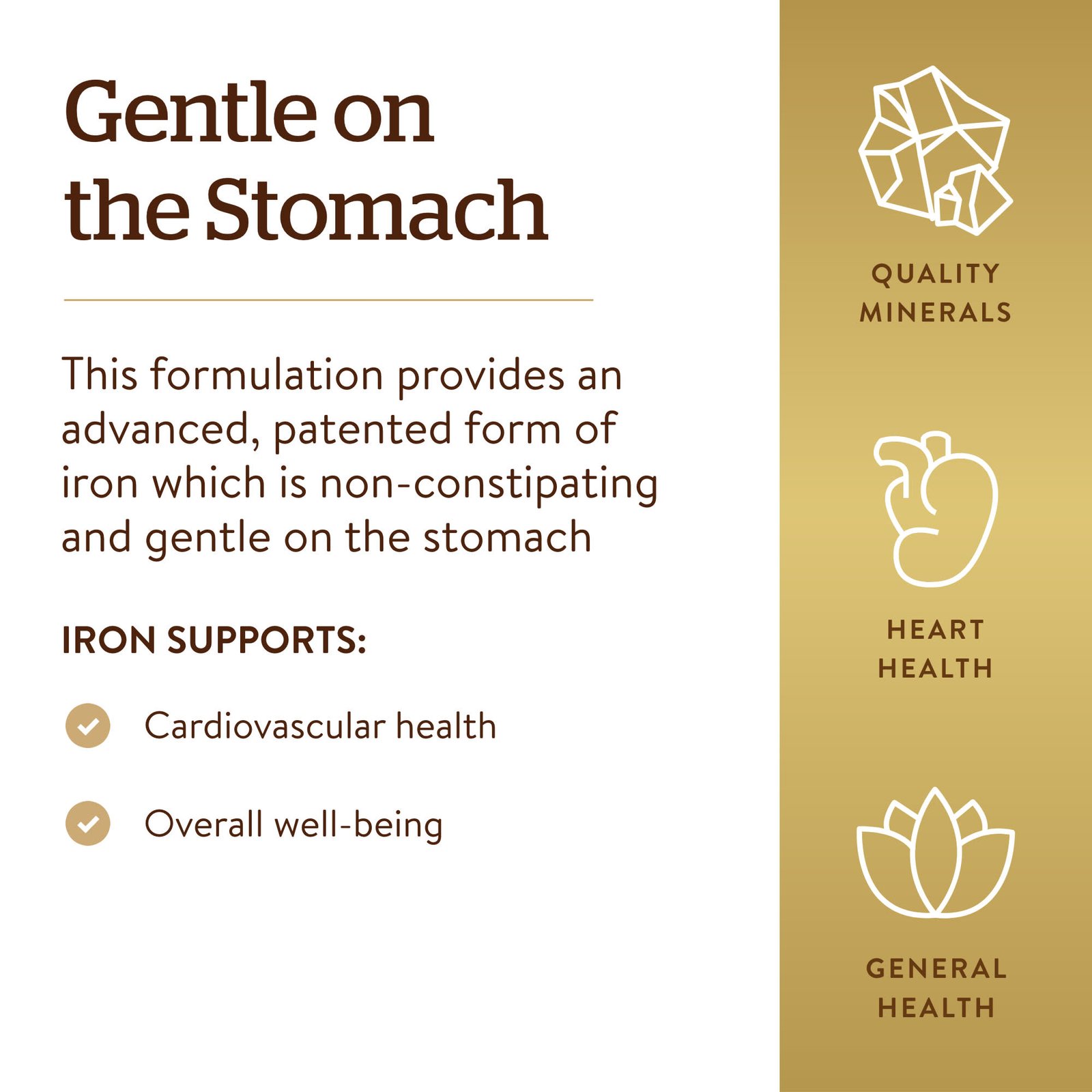 Solgar, Gentle Iron®, 25 mg, 90 Vegetable Capsules